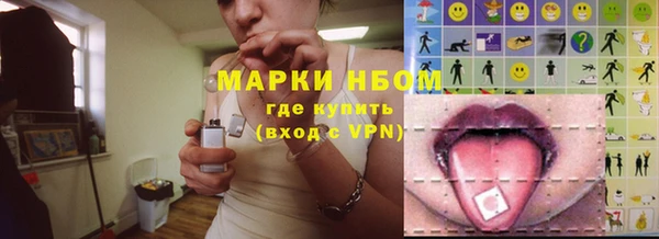 шишки Щигры