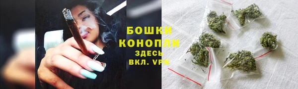эйфоретик Ельня