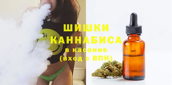 эйфоретик Ельня