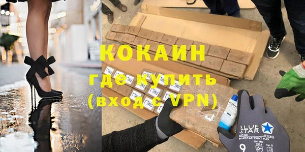 шишки Щигры