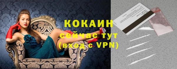 эйфоретик Ельня