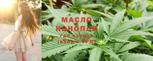 эйфоретик Ельня