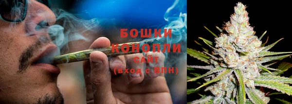 эйфоретик Ельня