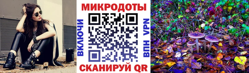 Галлюциногенные грибы Psilocybine cubensis  купить наркоту  Красково 